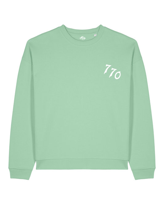 CHABAD CLUB SWEATSHIRT 770 ANIS RECTO