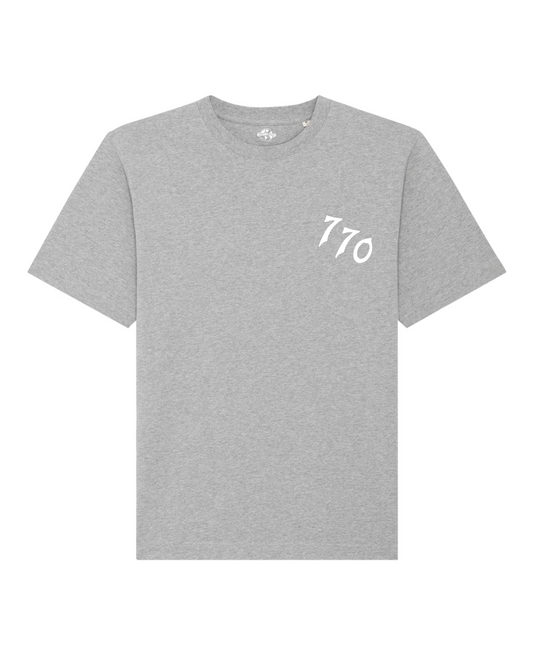 CHABAD CLUB TSHIRT FCHTTW GRIS RECTO